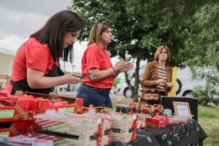 Imagen La Diputación de Segovia concede 131 ayudas a empresas y asociaciones de Alimentos de Segovia para reforzar la actividad del sector...